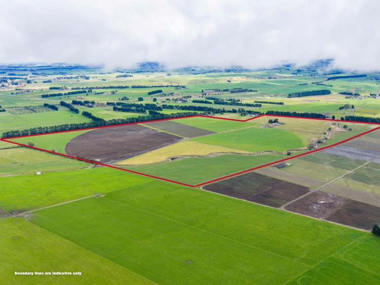 458 Wakarara Road Ongaonga_0