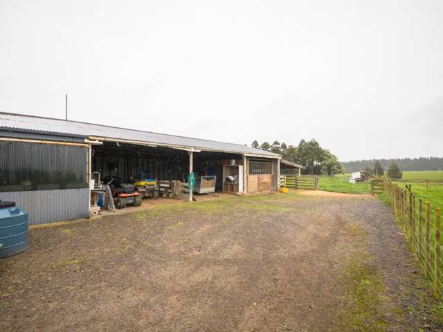 181 Short Road Halcombe_2