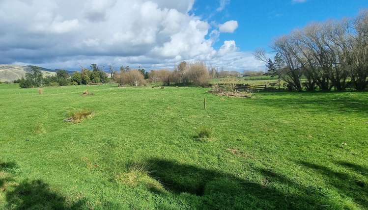 370 State Highway 57 Levin_15