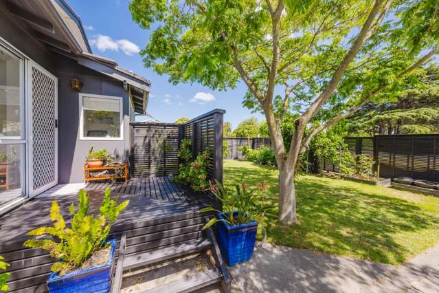 173 Georges Drive Napier South_2