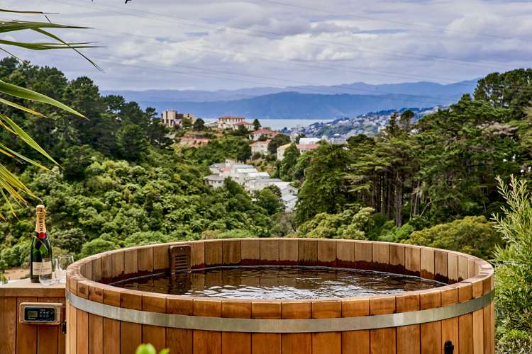 22 Mount Pleasant Road Aro Valley_14