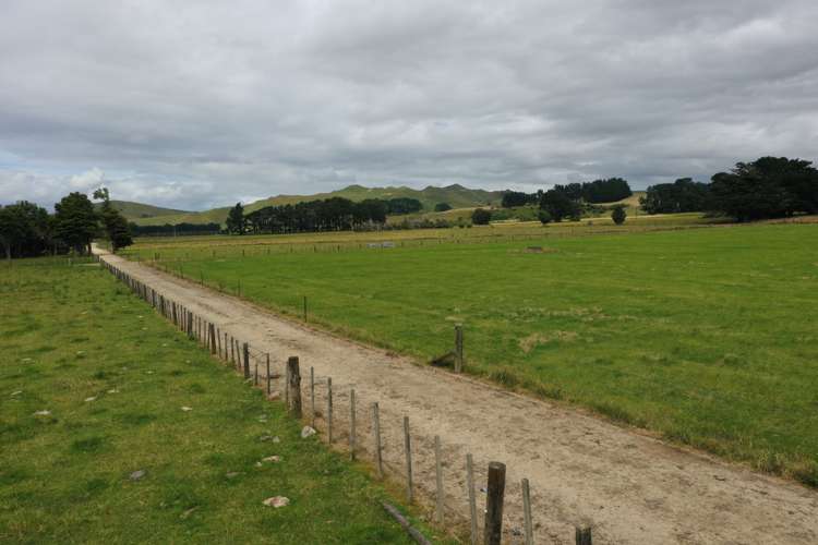 172 Kakariki West Road Eketahuna_5