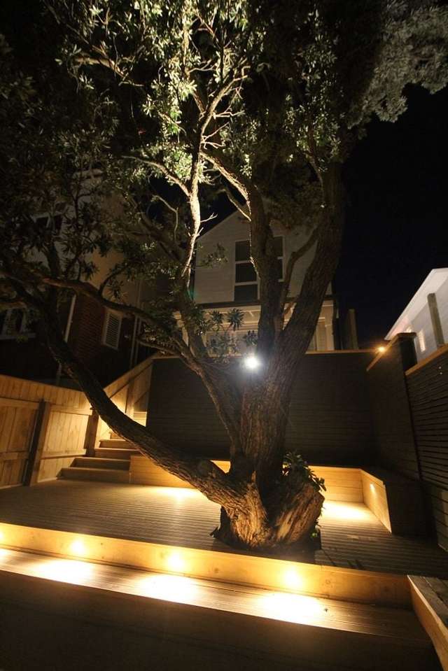 44 Thompson Street Mount Cook_4