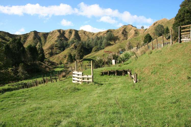 4869 Ohura Road Pohokura_32