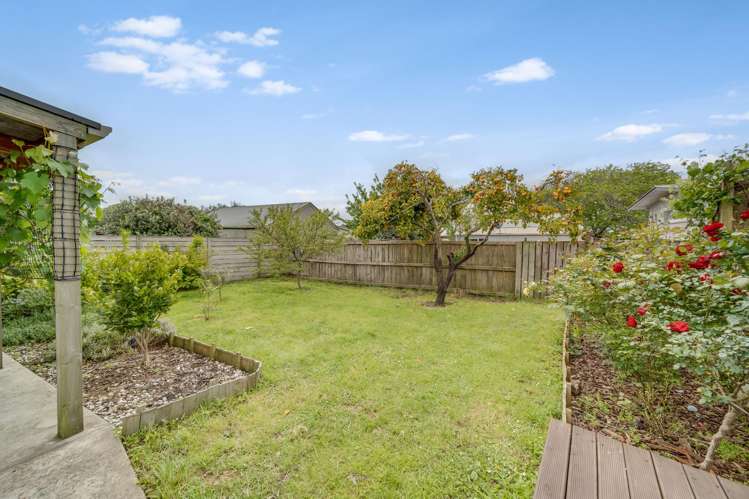 18 Lethborg Street Dinsdale_16