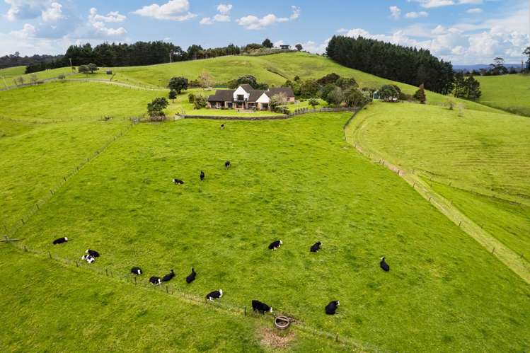 915 Old North Road Waimauku_18