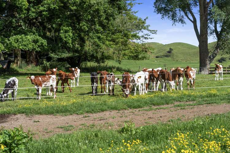 301 Matarawa Road Kinleith_13