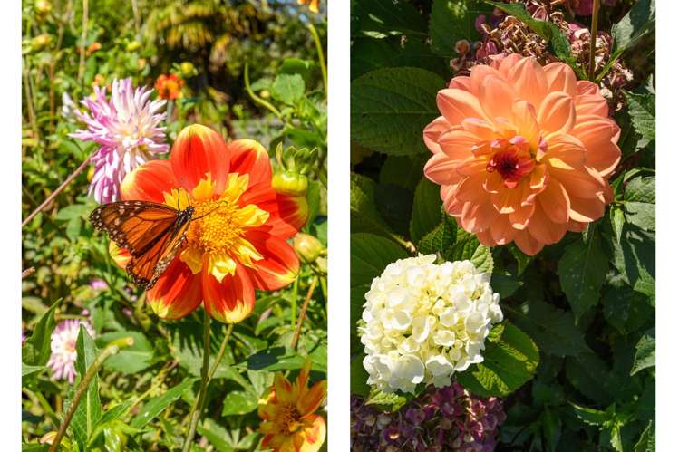 3 Phillips Drive Oropi_43