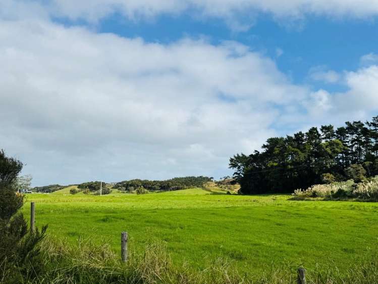 Lot 1/3233 State Highway 1 Pukenui_7