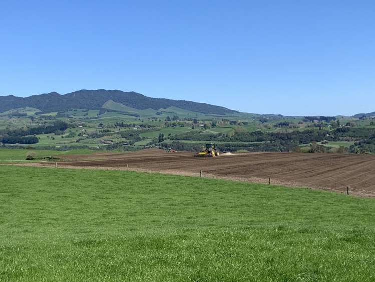 254 State Highway 1 Hauraki Surrounds_25