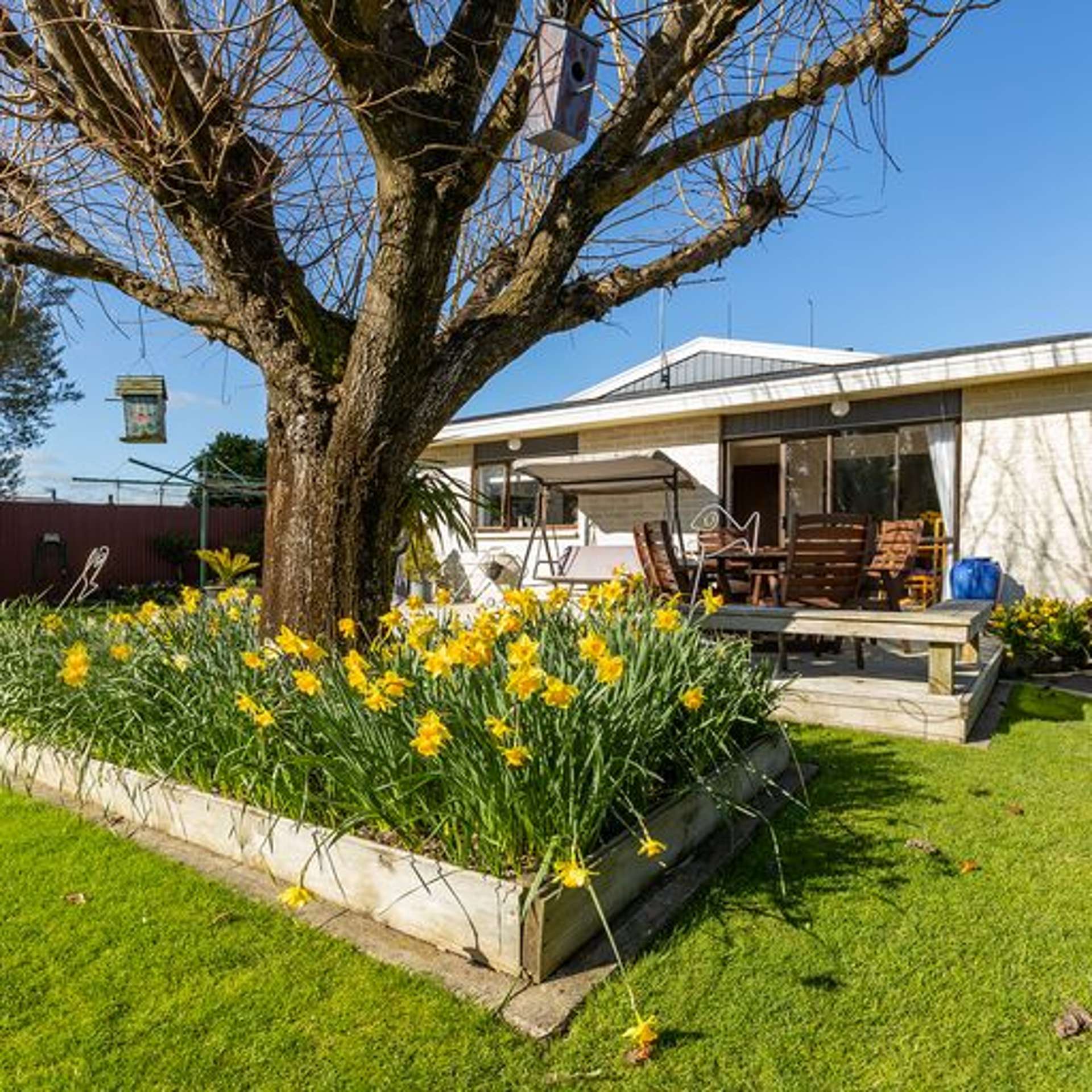 119a South Belt Masterton_0