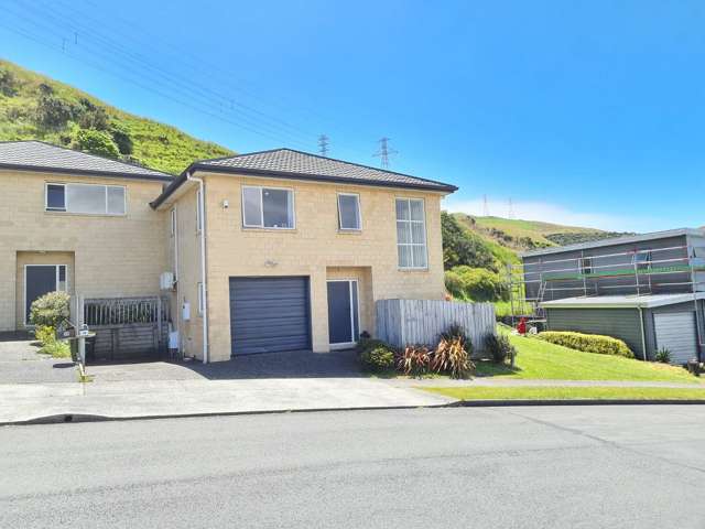 A sunny treasure in Churton Park