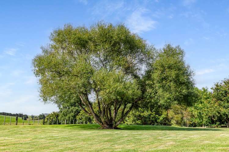 561 Settlement Road Kaiwaka_49