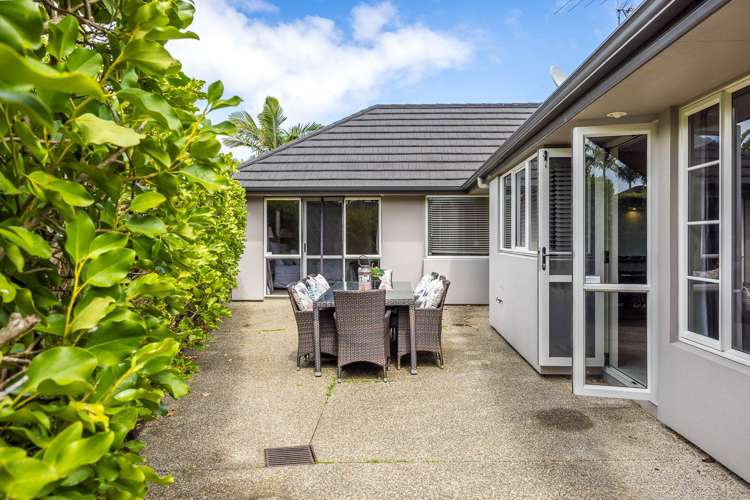 2 Elwyn Close Flat Bush_11