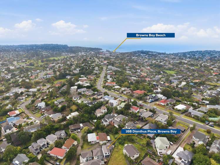 16B Dianthus Place Browns Bay_27