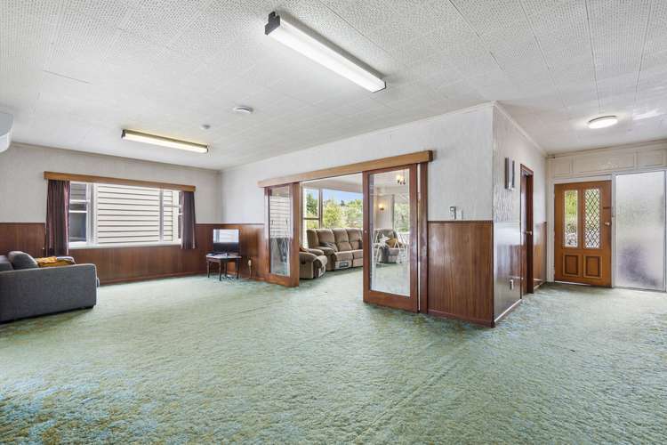 37 Dexter Avenue Mount Eden_6