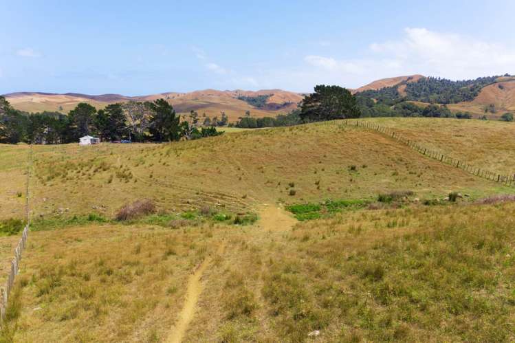 1149 Waikaretu Valley Road Waikaretu_10
