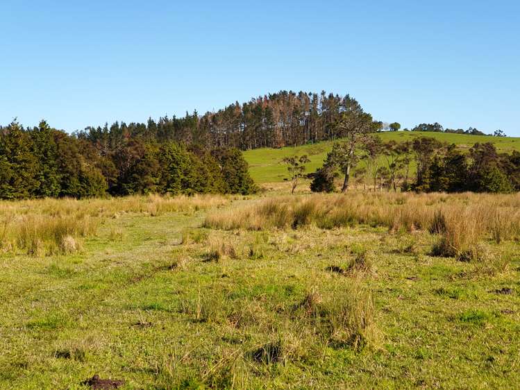 Sterling Road Paparoa_10