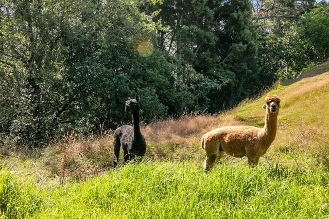 92 Awanui Rise Ardmore_4