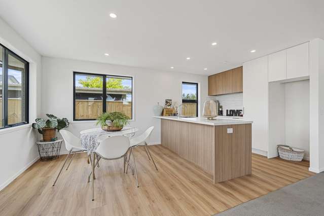 45A Princess Street Waitara_2