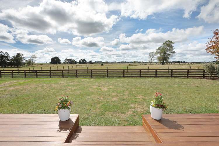 455b State Highway 1 Bulls_26