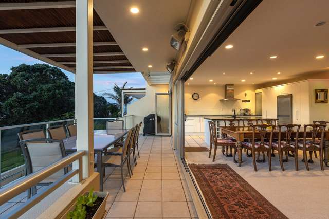 363C Hibiscus Coast Highway Orewa_3