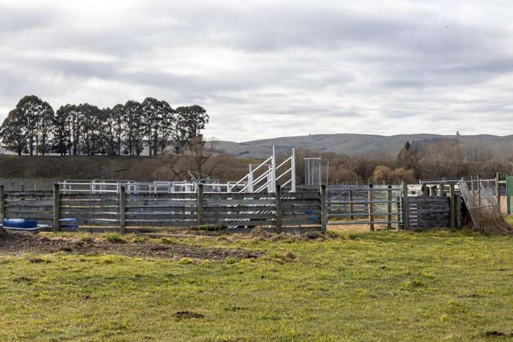 34 Clayton Road Fairlie_19