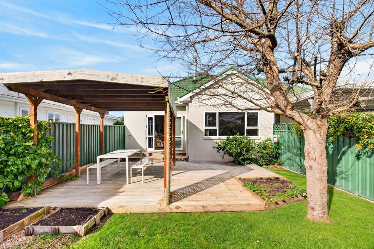 162 Guppy Road Taradale_12