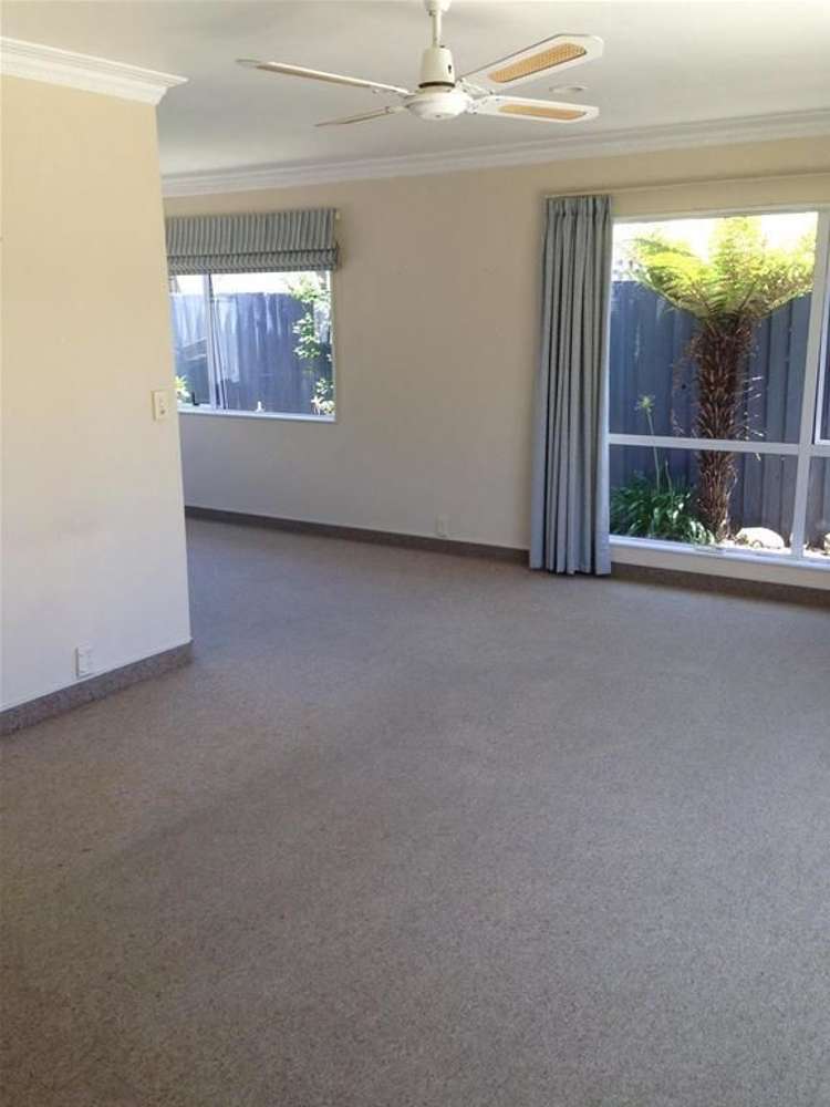 24a Green Street Tahunanui_8