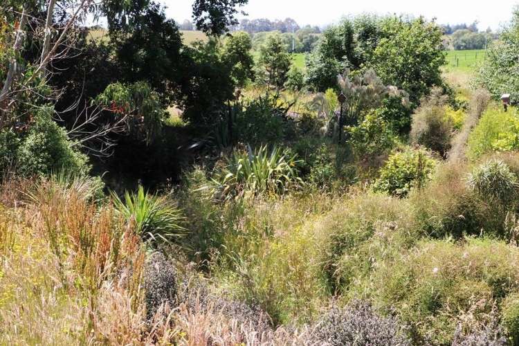 Waituna School Road Waimate_12