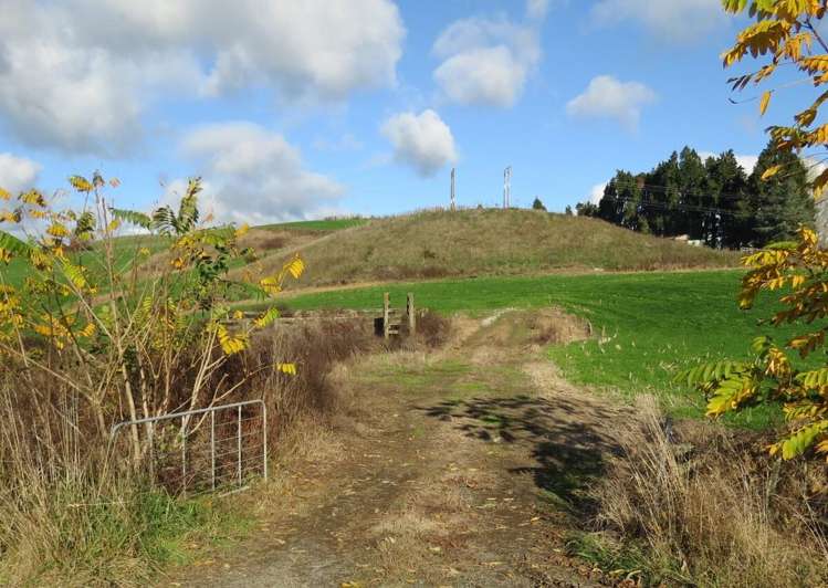 Waitomo Caves Road Waitomo_9