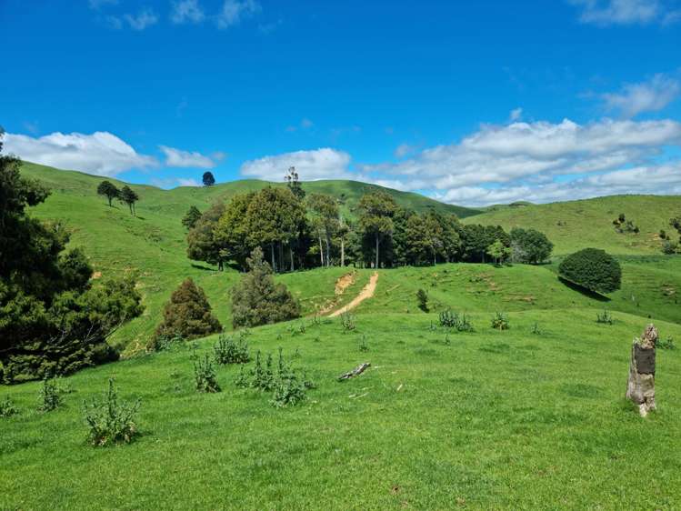 852 Mangawara Road Tahuna_12