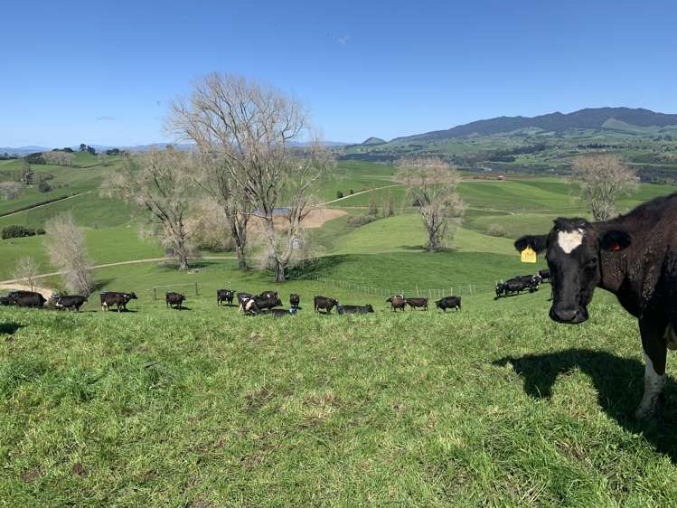 254 State Highway 1 Hauraki Surrounds_22