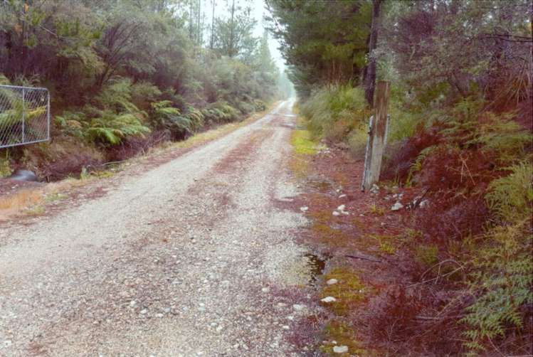 126 Birds Ferry Road Cape Foulwind_15