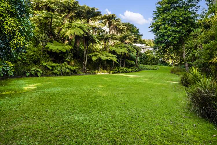 36 Aldred Road Remuera_12