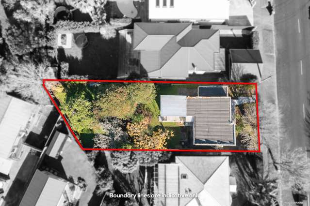 43 Tui Street Point Chevalier_4