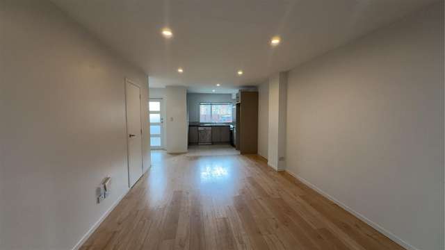 1/4 Littler Place Hamilton East_3