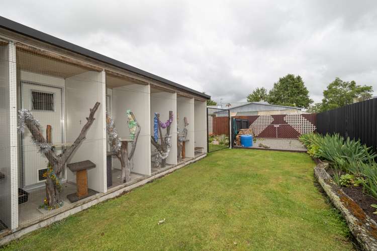 193 Grove Place Tinwald_17