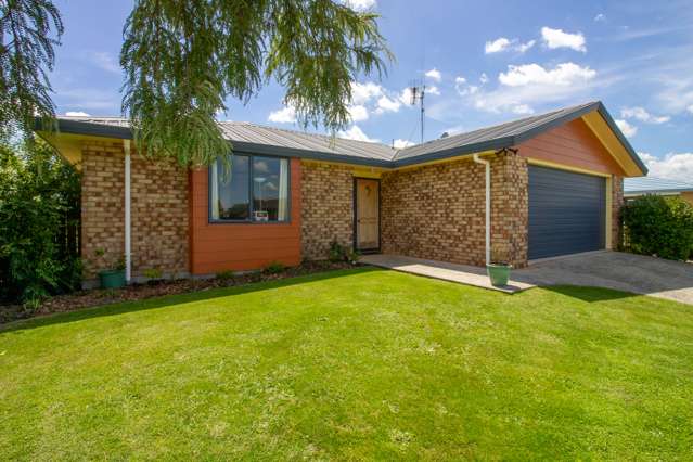 133 Reynolds Drive Te Awamutu_2