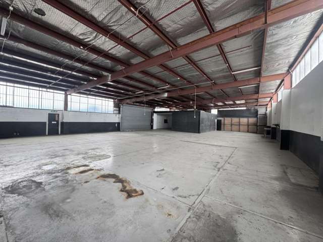 419G Rosebank Road Avondale_2