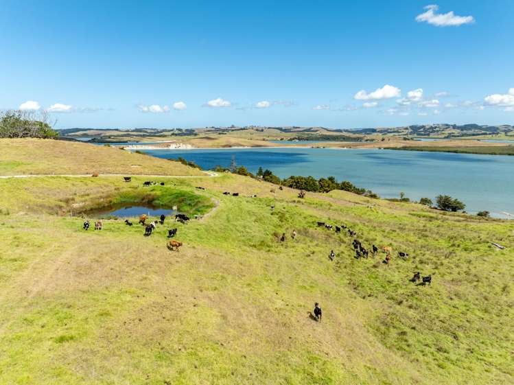 140 Beatson Road Whakapirau_18