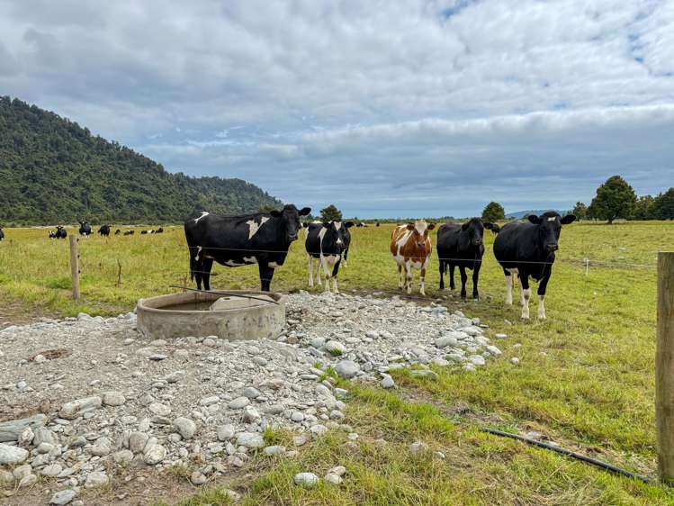 221 Docherty Creek Rd and Waiho Flat Road Franz Josef_1