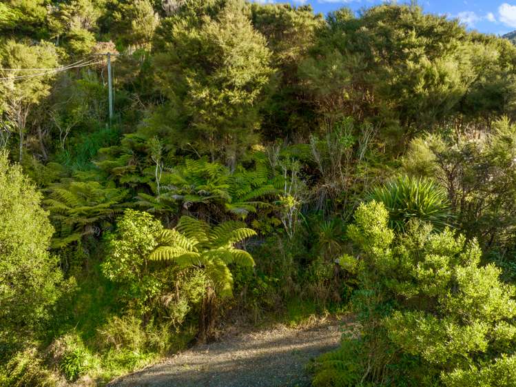 12 Brough Place Anakiwa and Surrounds_16