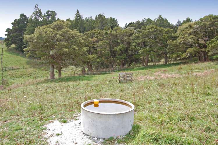 280c Baldrock Road Kaiwaka_14