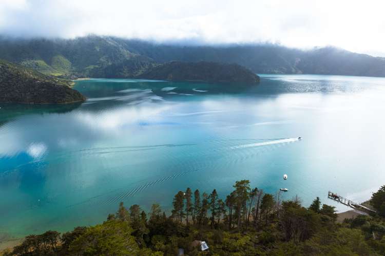 Lot 4 North West Bay Pelorus Sound_5