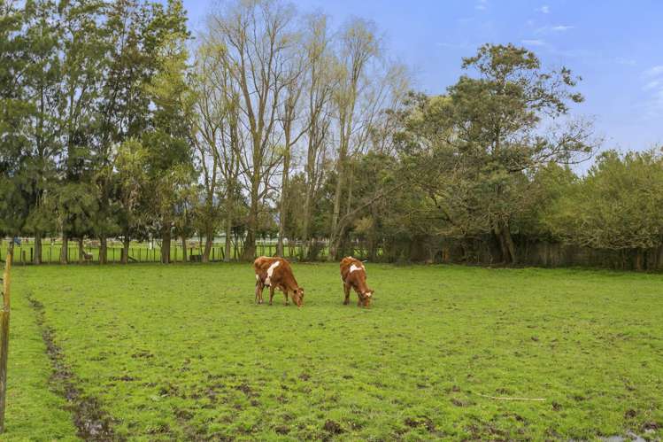 40 Racecourse Road Te Aroha_8