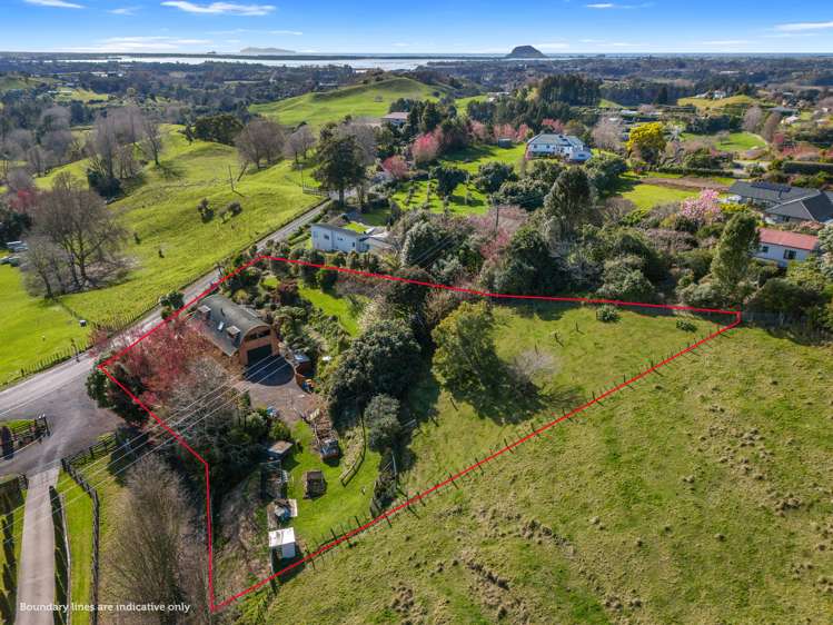 255 Crawford Road Te Puna_18