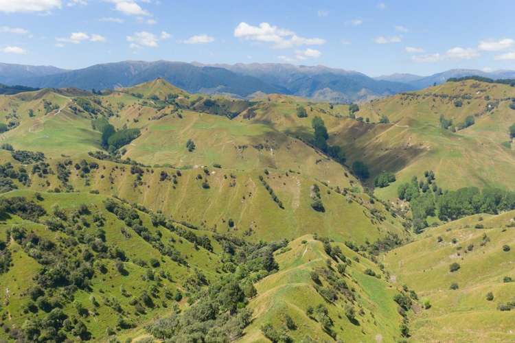 131 Rangitane Road Mangaweka_3