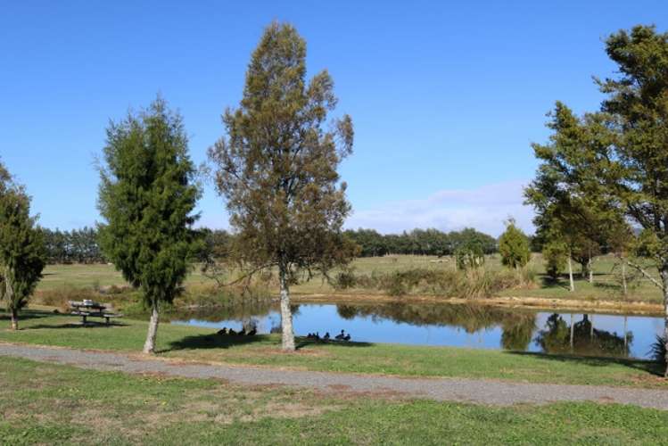 61/11 Manuka Street Matamata_6