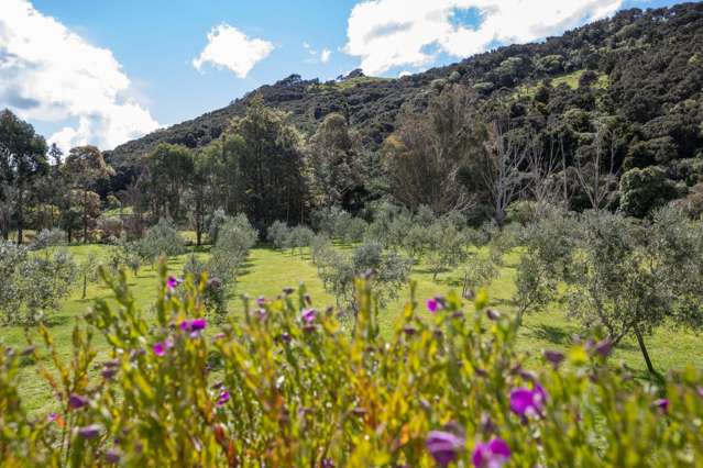 124 Mangatarere Valley Road Carterton_4